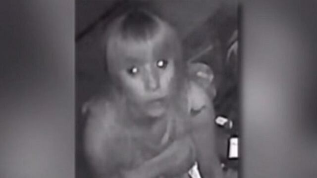 Viudas negras en Versalles