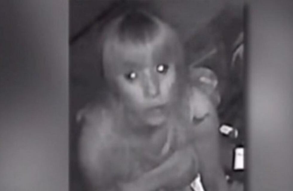 Se entregaron las tres "viudas negras" que drogaron a un abogado y desvalijaron su casa