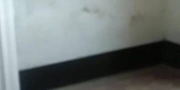 Denuncian deficiencias en la remodelación del Hipódromo