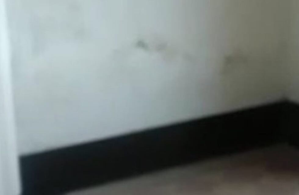 Piden informes por "deficiencias constructivas" en el remodelado Hipódromo