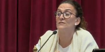 Gabriela Michetti y una acalorada discusión con el radical Luis Naidenoff