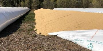 Silobolsa roto cerca de Catriló (La Arena)