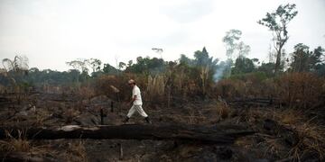 Vista de los daños producto del incendio en la selva amazónica este lunes, en Porto Velho (Brasil)\u002E Crédito: EFE/Joédson Alves\u002E