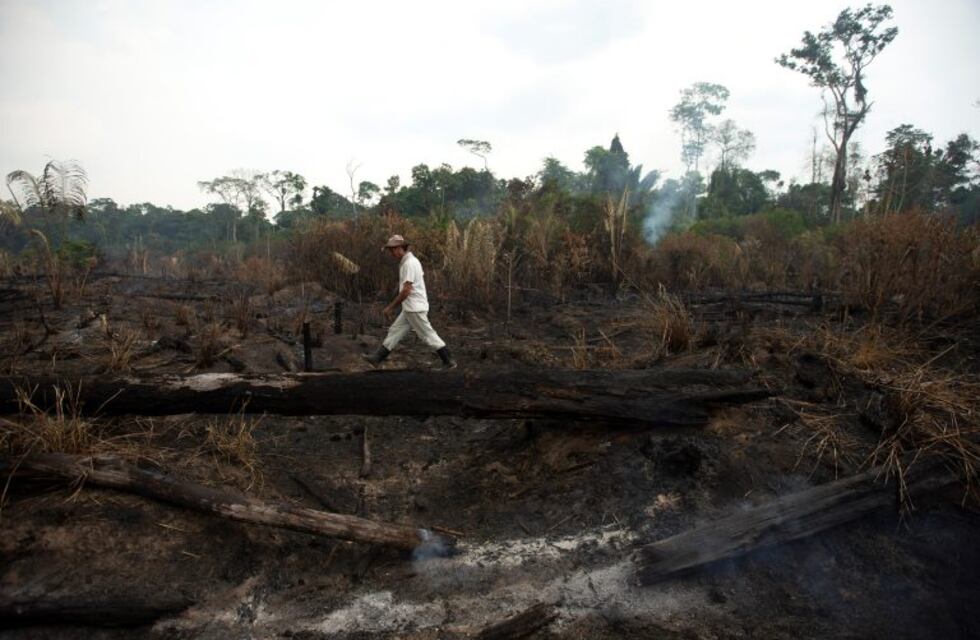 Brasil rechazó la ayuda del G7 para combatir los incendios en la Amazonia