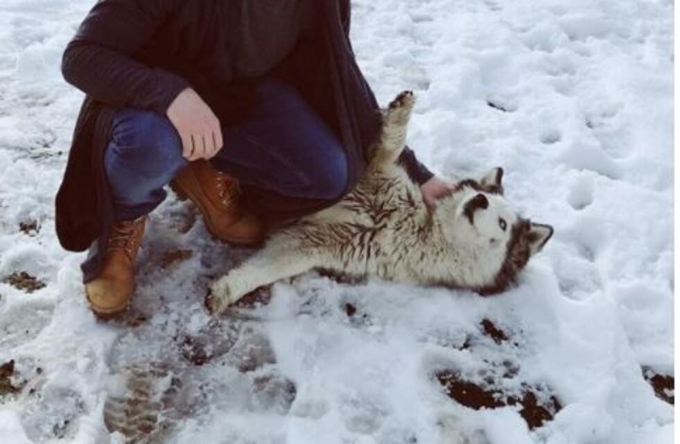 Julián Serrano: "Me llevo bien con la fama"