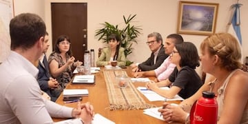 Proponen desarrollar la Ley Micaela en Universidades del Chaco
