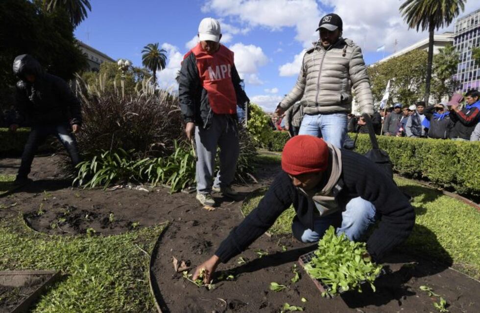 El 30% de las verduras y frutas locales tienen agroquímicos