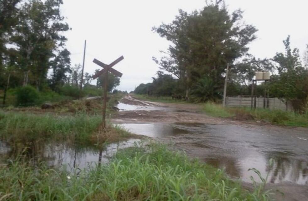 Crean aplicación móvil para monitorear Caminos Rurales