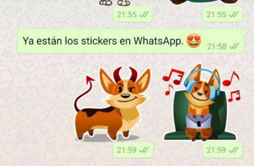 Cómo activar los stickers en WhatsApp, paso a paso