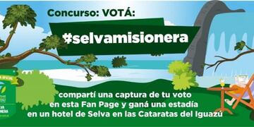 selva misionera 2