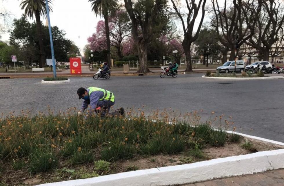 Más árboles, arbustos y flores en la ciudad