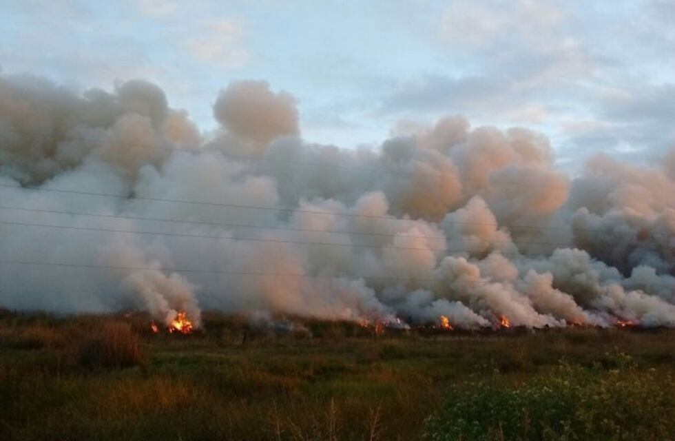 Incendio forestal en Devoto ya quemó 2.500 hectáreas