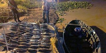 La embarcación resultó secuestrada junto a 80 especímenes de sábalos\u002E