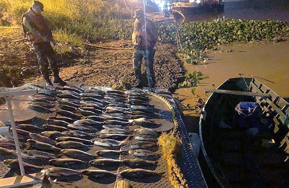 Prefectura detuvo a dos personas con un importante cargamento de pescados