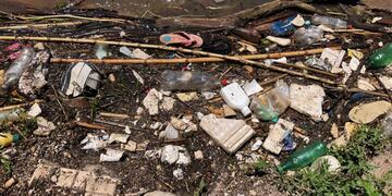 La actividad se realizó el domingo 18 de noviembre y contó con más de 150 voluntarios\u002E