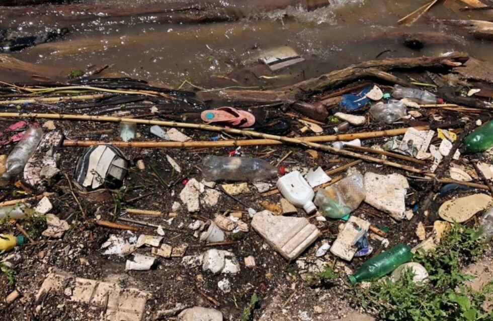 En un día, voluntarios sacaron una tonelada de basura del Paraná