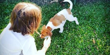 (Instagram: @sangrejaponesa)