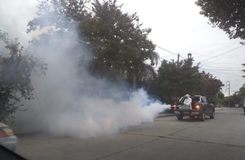 Alerta por un caso "positivo de dengue" en Carlos Paz: cómo prevenirlo