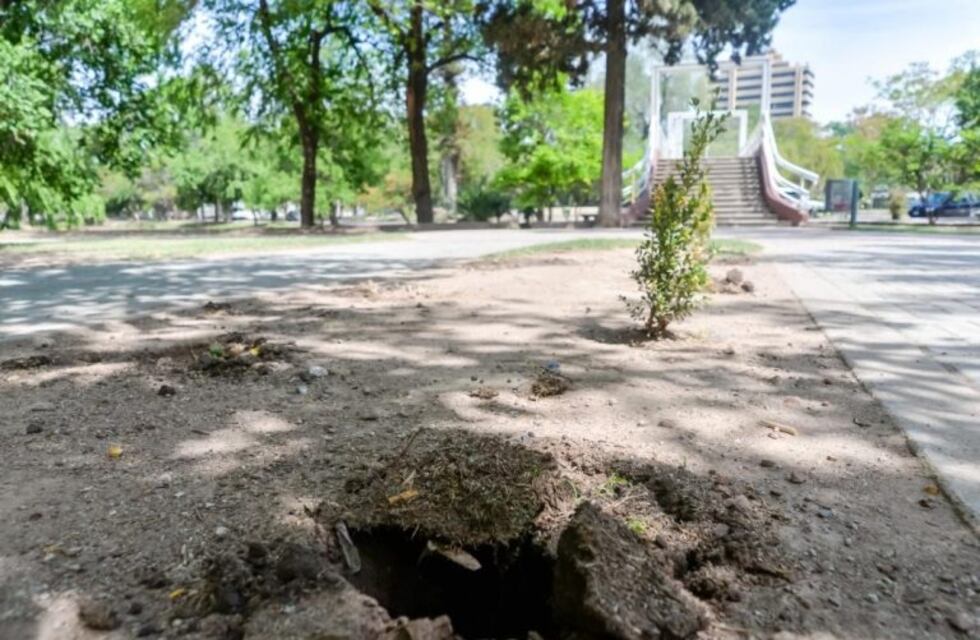 Por los constantes robos, la Municipalidad dejará de poner plantas en el Parque Sarmiento