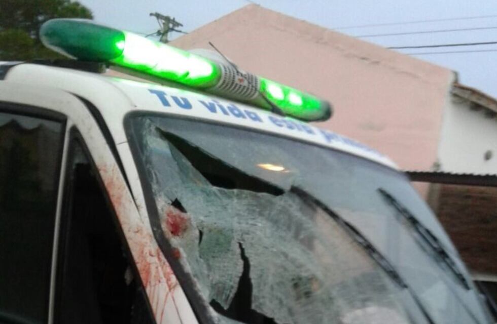 Una ambulancia decapitó un caballo