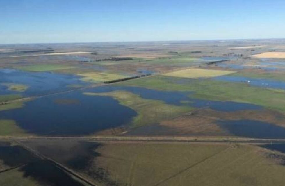 General Villegas: advierten que peligra la cadena de pago debido a las inundaciones