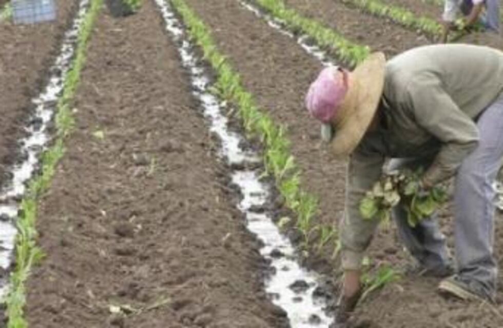 Un trabajador golondrina falleció en San Juan tras agonizar durante 9 días