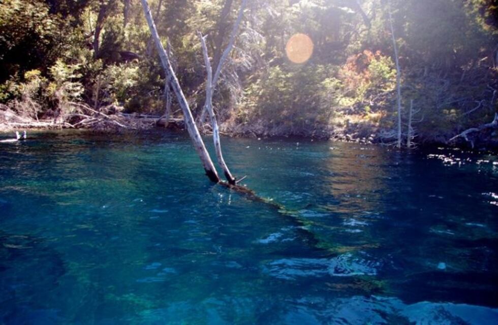 Alertan sobre un tsunami en la zona cordillerana por el bosque sumergido de Traful