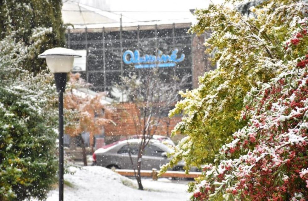 Se registró un sismo en la localidad neuquina de Aluminé