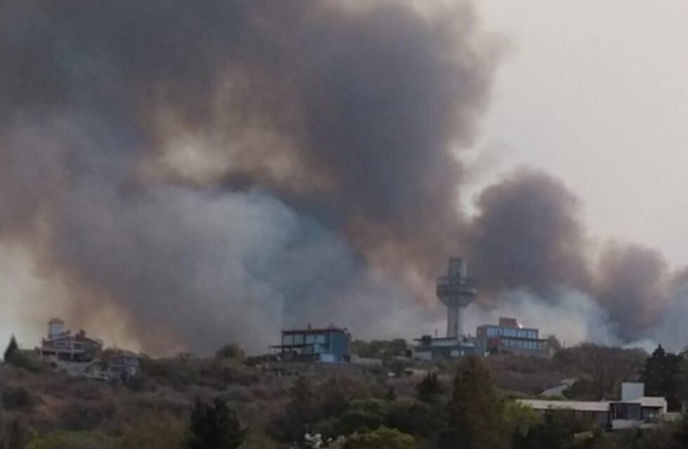 La denuncia en redes de la fotógrafa carlospacense Angie Monasterio: "nos están prendiendo fuego a todos"