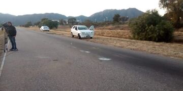 El conductor dijo que se le cruzó un jabalí\u002E