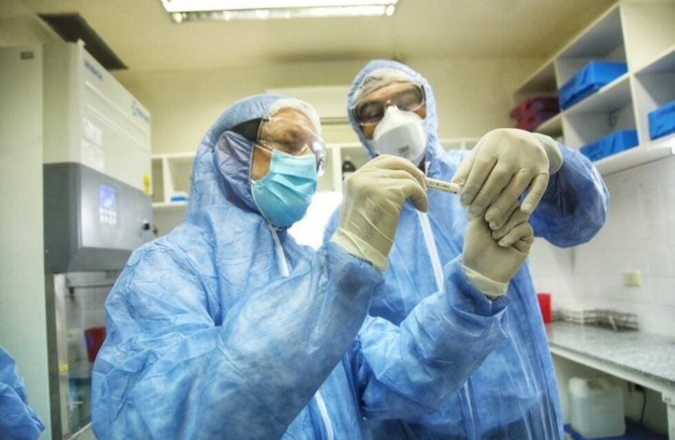 Llegaron a Corrientes mil reactivos para realizar el análisis de Coronavirus