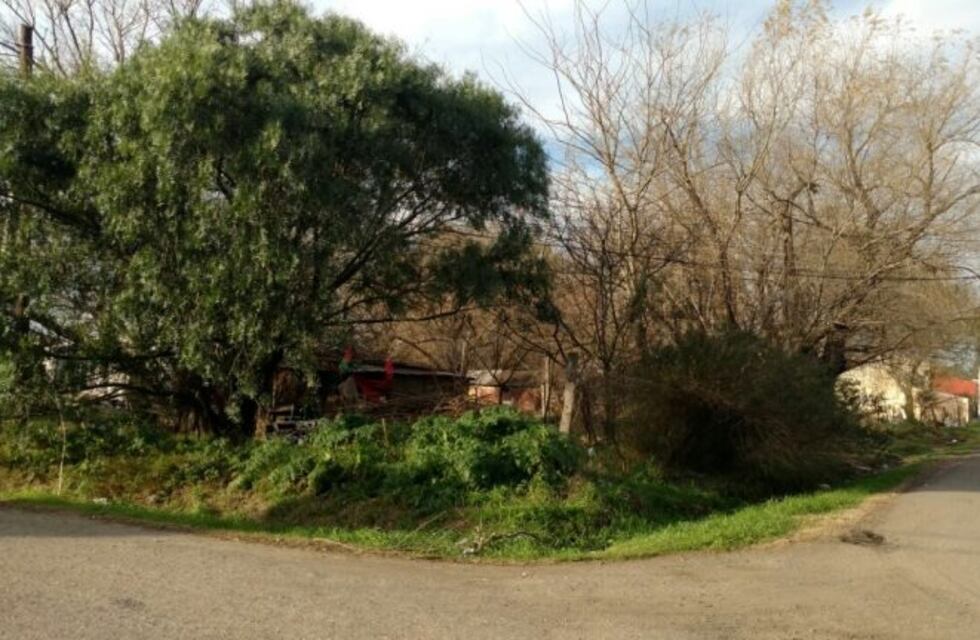 Vecinos de zona oeste están denunciando que intrusos pretenden lotear una plaza