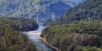 Científicos reconstruyen 600 años de patrones climáticos en Sudamérica gracias a la información contenida en los anillos de crecimiento de los árboles\u002E