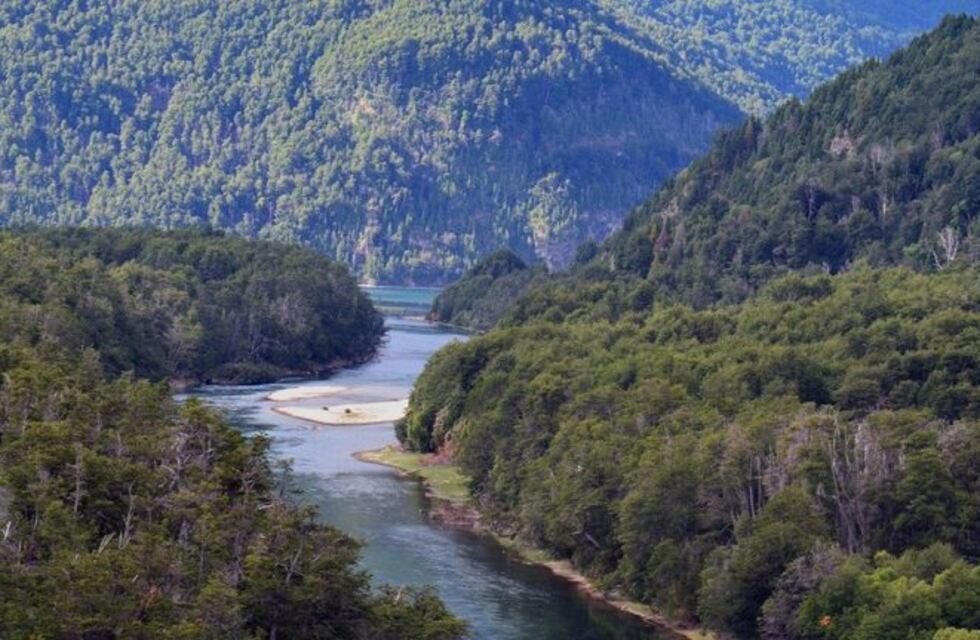 Chubut se sumó a la iniciativa Un Millón de Árboles Argentina