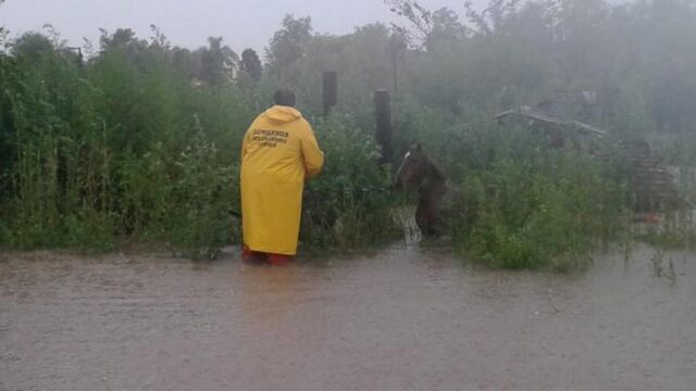 Campos inundados en Córdoba\u002E