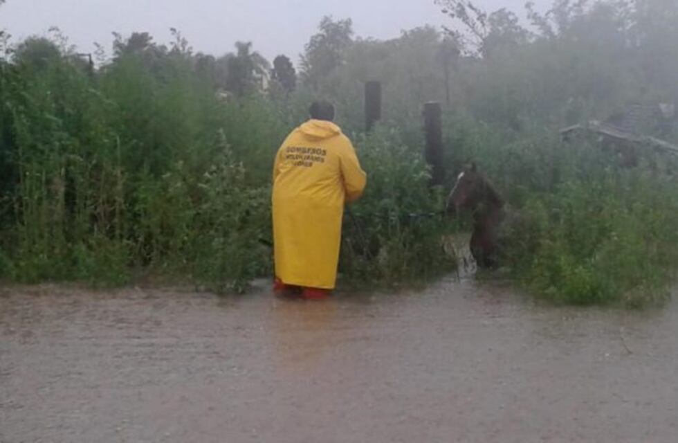 Se estiman pérdidas hasta por U$S 40 millones por las inundaciones en los campos de Córdoba