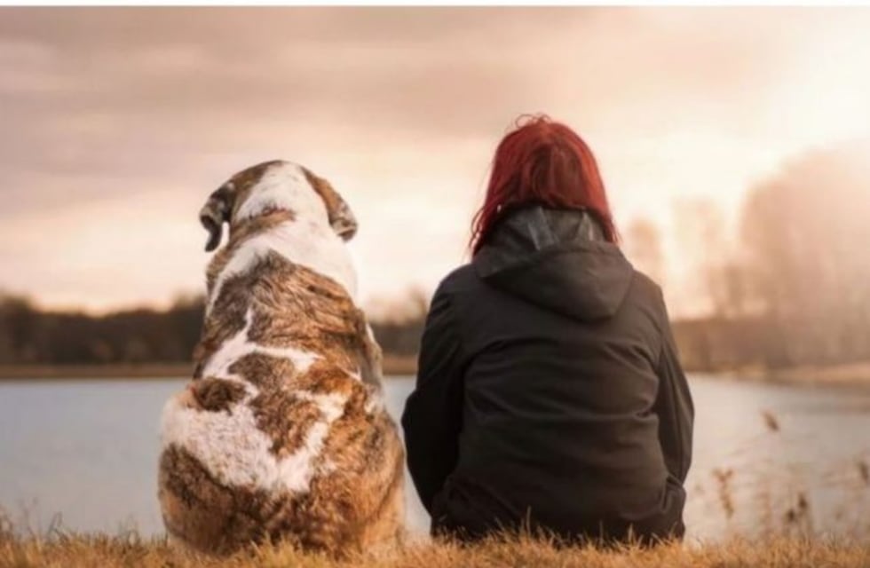 Revelan la tierna historia del video de una mujer que es seguida por perros, gatos y aves
