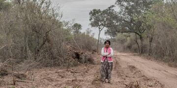 Los desmontes ya no podrán continuar\u002E