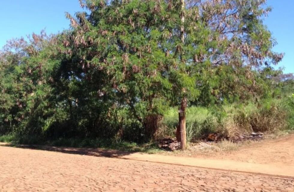 Denuncian que delincuentes utilizan el predio de los bomberos como aguantadero