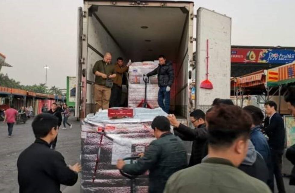 Ya llegó en China el primer lote de cerezas rionegrinas