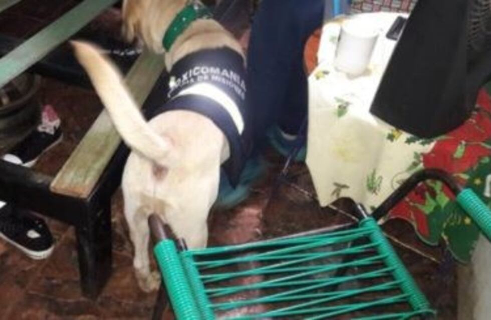 Golpe a dos kioscos en Eldorado: vendían marihuana y anfetaminas