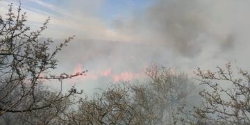 Frente de incendio en La Calera