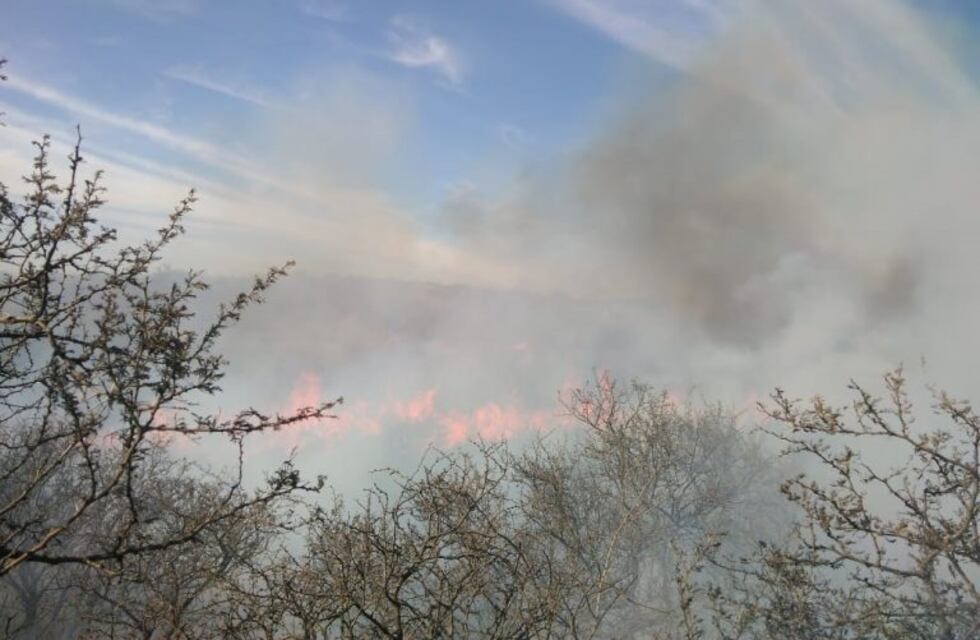 Fueron controlados los dos frentes de incendio en La Calera