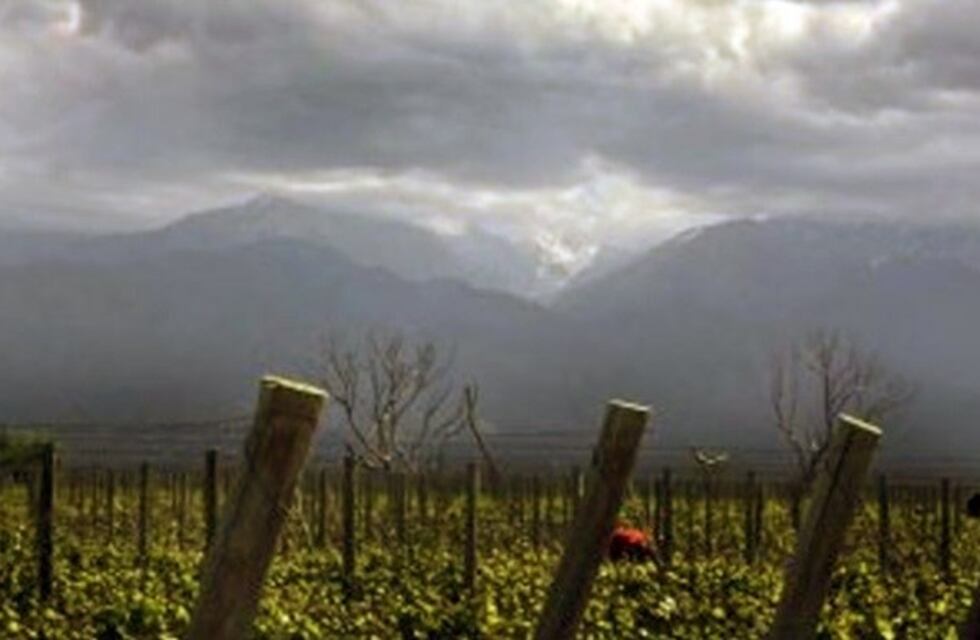 Es ley el nuevo Sistema de Emergencia Agropecuaria en Mendoza