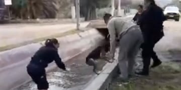 Una auxiliar puntana salvo al can\u002E