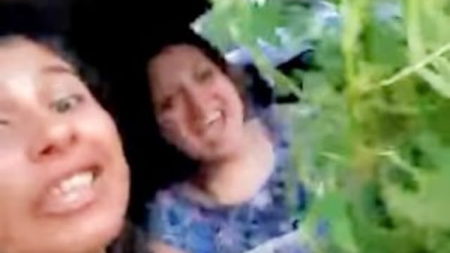 El video de las policu00edas con una planta de marihuana.