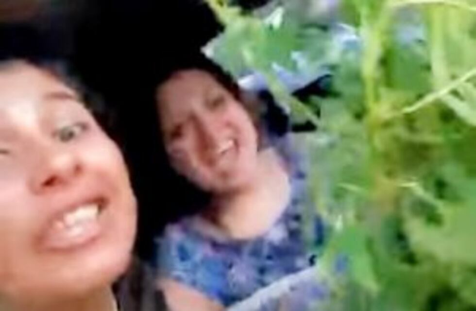 Policías se grabaron festejando tras hacerse de una planta de marihuana luego de una requisa