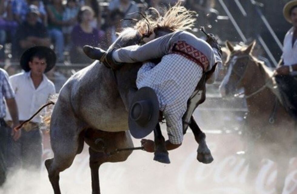 Un jinete murió aplastado por un caballo en un festival de doma santafesino