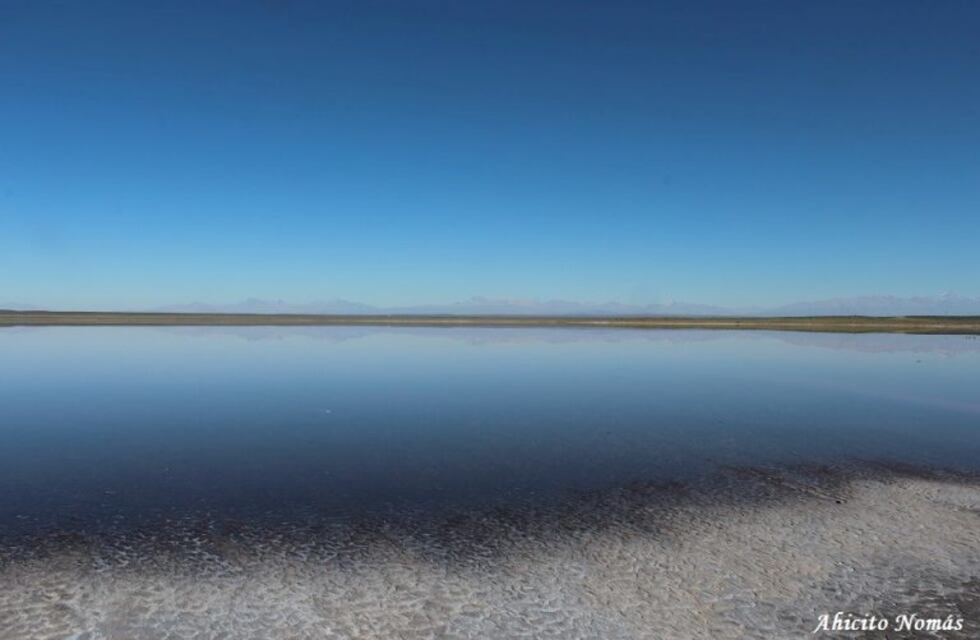 Trabajan en la preservación de peces en la laguna Las Salinas