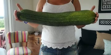 Tandil: una chica cosechó un "super zucchini" de 60 centímetros